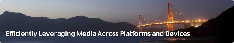 Efficiently Leveraging Media Across Platforms and Devices